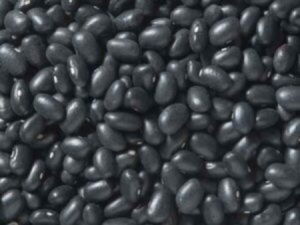 Black-Bean