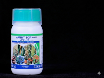 AmriTop