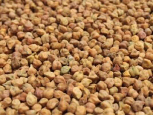 Légumineuses et Haricots