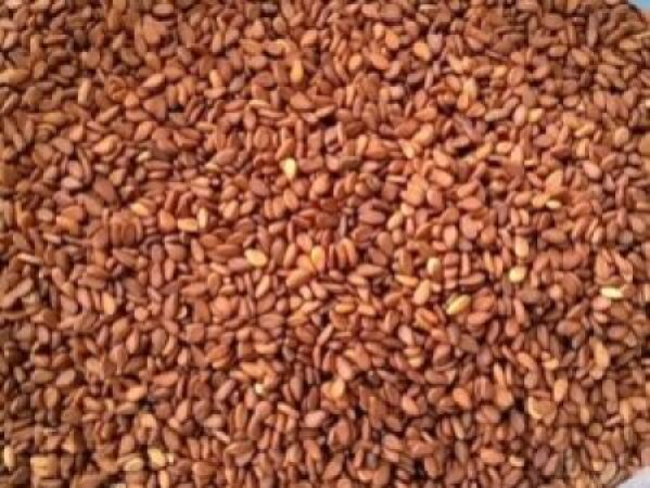 Reddish-Sesame-Seeds